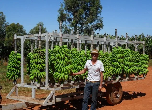 Cordeiro Comércio Varejista e Atacadista de Hortifruti