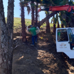 Estruturas metálicas modernas oferecem velocidade, durabilidade e economia nas obras de 2026, uma visão defendida por Altevir Seidel.