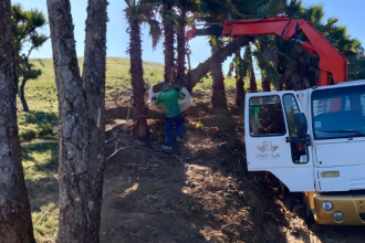 Estruturas metálicas modernas oferecem velocidade, durabilidade e economia nas obras de 2026, uma visão defendida por Altevir Seidel.