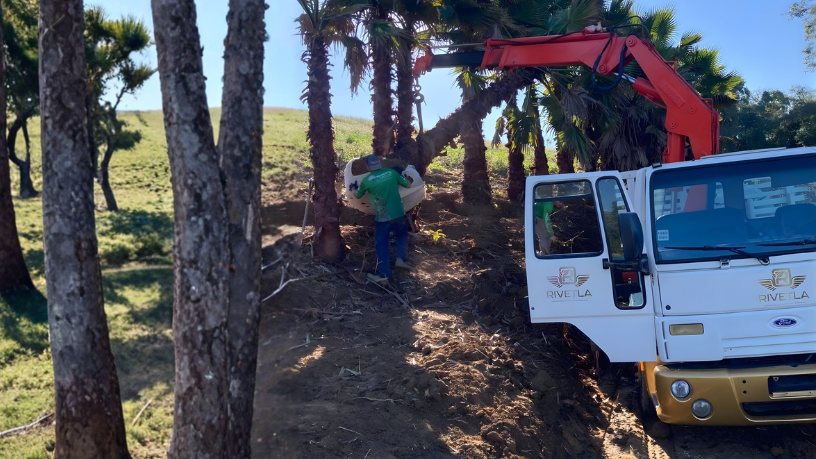 Estruturas metálicas modernas oferecem velocidade, durabilidade e economia nas obras de 2026, uma visão defendida por Altevir Seidel.