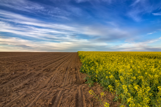 A sustentabilidade rural exige preparo técnico e compromisso com a produção responsável, afirma Alfredo Moreira Filho.