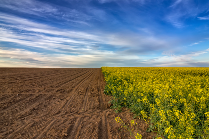 A sustentabilidade rural exige preparo técnico e compromisso com a produção responsável, afirma Alfredo Moreira Filho.