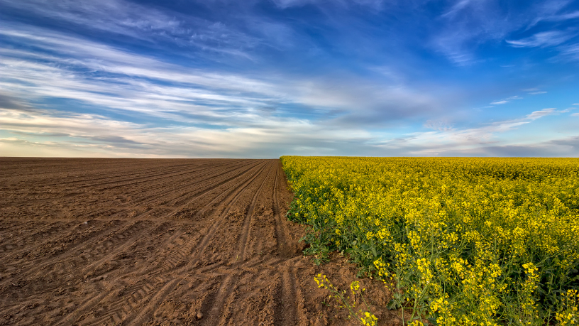 A sustentabilidade rural exige preparo técnico e compromisso com a produção responsável, afirma Alfredo Moreira Filho.
