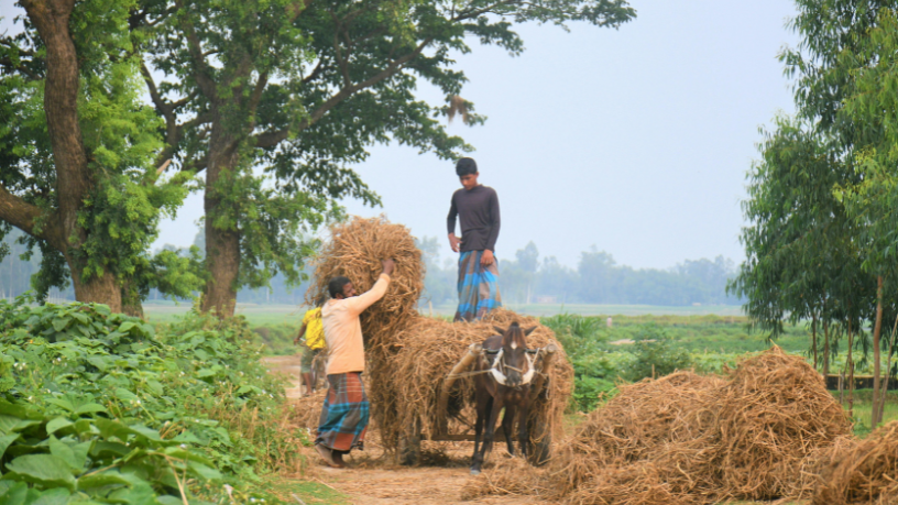 O desafio técnico da produção responsável fortalece a sustentabilidade rural no campo, conforme ressalta Alfredo Moreira Filho.